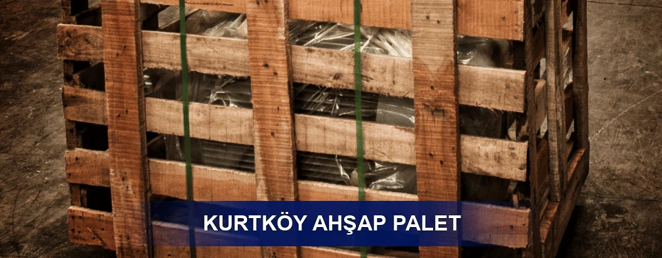 Kurtköy Ölçü Seçenekleri