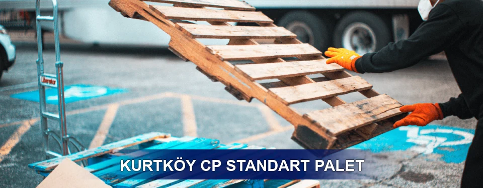 Kurtköy Fiyatlandırma