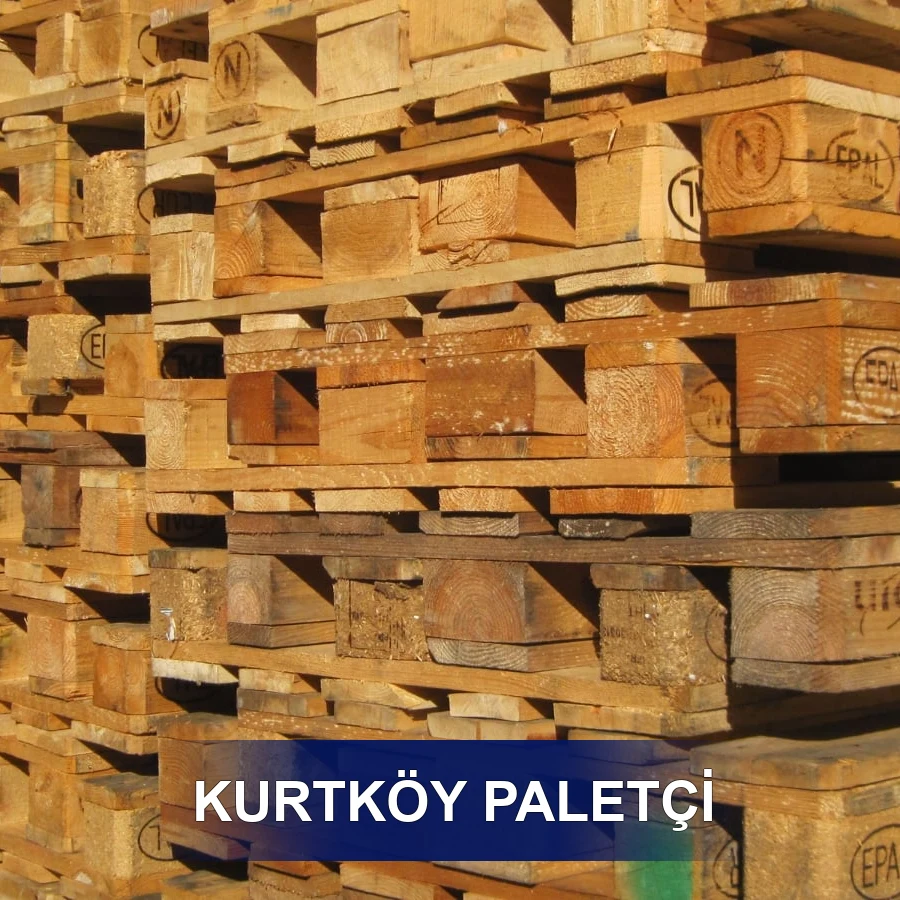 Kurtköy Paletçi