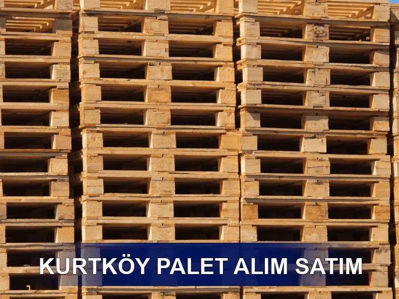 Kurtköy Palet Galeri 3