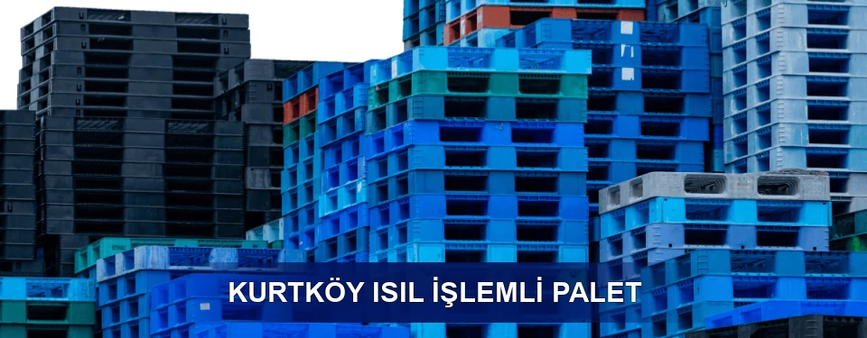 Kurtköy İşaretleme